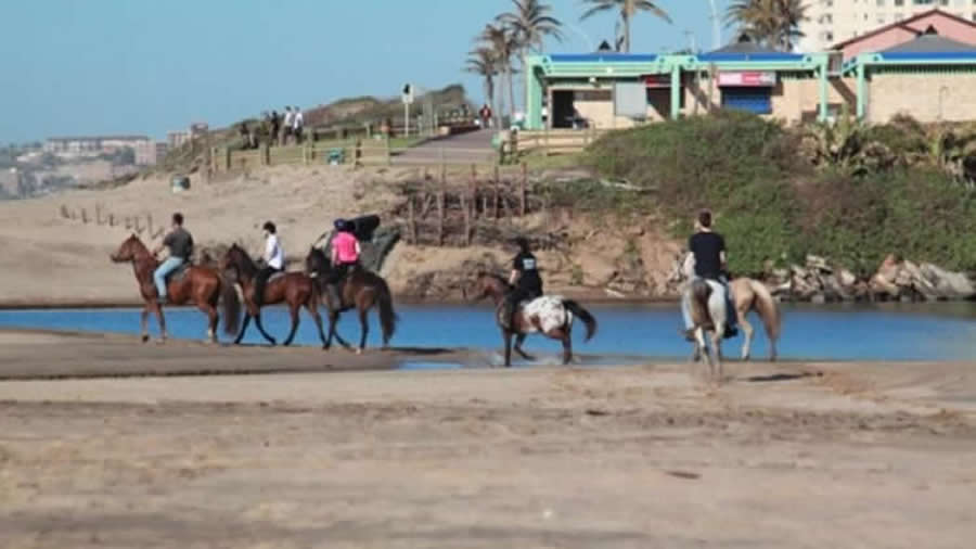 cabana mio garys beach horseback ride experience pick 900